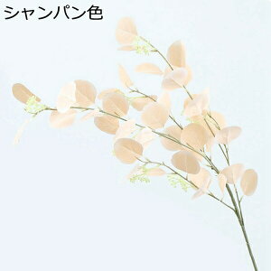 [J@ԁ@1{@ԕrȂ@{@G}@@sv@͂Ȃԁ@u[P@fR[V@CeA@Lb`@֏@ItBX@iX@pف@Be