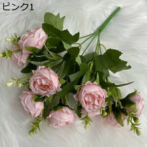 ͂Ȃ {^ 110{ ~ju[P  Ԍ|p j v[g  ʐ^Be LO ̓ }`bN  VN  { u[P  F