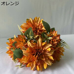   214{ { ꂢ ~ju[P  Ԍ|p  ʐ^Be LO ̓Mtg v[g ͂Ȃ sv  VN