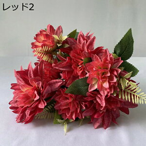   214{ { ꂢ ~ju[P  Ԍ|p  ʐ^Be LO ̓Mtg v[g ͂Ȃ sv  VN