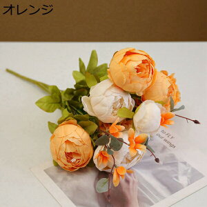 {^  ԑ 113{ CeA ʐ^Be j  뉀 Ԍ|p  a ̓Mtg ͂Ȃ  hCt[ ~ju[P t[ lHϗtA