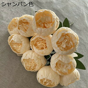 {^  ԑ 110{ lHϗtA ͂Ȃ Ԃ݂ Be ̓ j v[g  ItBX iX  CeA {  sv