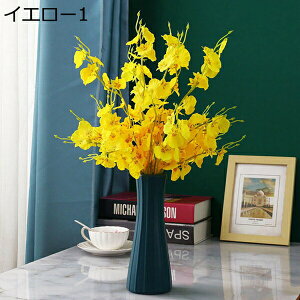 IVW[@ԁ@{@G}@@sv@͂Ȃԁ@fR[V@CeA@Lb`@֏@ItBX@iX@pف@A[gt[@Be