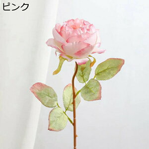 3{@o@ԁ@{@G}@@sv@͂Ȃԁ@fR[V@CeA@֏@ItBX@iX@pف@A[gt[@v[g@zCg