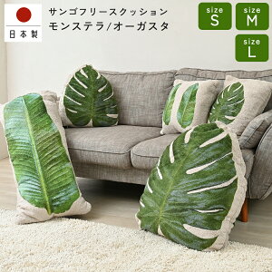  TSt[XNbV[t { nC NbVJo[ ][g S5  AWA o 썑 ][g ̓ V t A O[ r[` gsJ nC