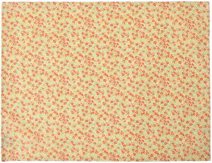 fabrizm `}bg 42×32cm veB { eB[}bg z  킢 qp  k ԕ