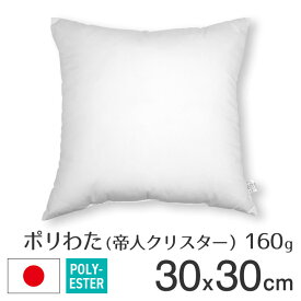 fabrizm ポリエステルわた ヌードクッション 圧縮 30角 30×30cm 帝人クリスター 160g入 日本製 あす楽対応 中材 中身 中芯 背当てクッション クッションカバー用