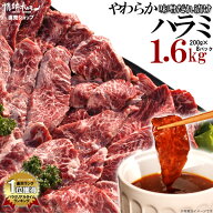 肉 焼肉 ハラミ 超メガ盛セット やわらか ハラミ 味噌だれ漬け 1.6kg 焼肉セット 食品 牛肉 小分け バー…