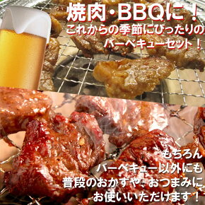 特撰バラエティBBQセット