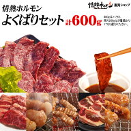 焼肉 バーベキュー 肉 情熱ホルモン よくばりセット 計600g BBQ 肉 小分け 焼肉セット バーベキューセッ…