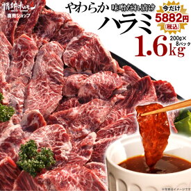 肉 焼肉 ハラミ 超メガ盛セット やわらか ハラミ 味噌だれ漬け 1.6kg 焼肉セット 食品 牛肉 小分け バーベキュー 肉 バーベキューセット BBQ にく 北海道沖縄配送は別途送料追加
