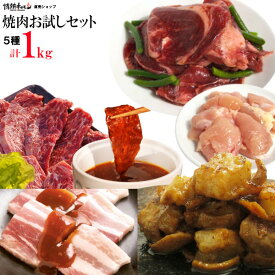 【期間限定エントリーでP7倍】肉 食品 焼き肉 焼肉 計1kg 情熱の 焼肉 5種 お試し セット ハラミ プルコギ牛タン 牛ホルモン 鶏カルビ 豚バラ バーベキュー BBQ 牛肉 肉（北海道・沖縄配送は別途送料追加）
