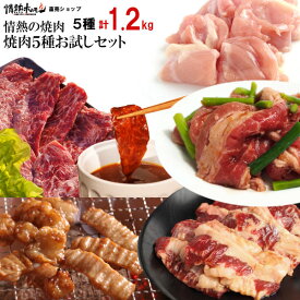 クーポンで 50％OFF 【期間限定エントリーでP7倍】 焼き肉 計1.2kg 焼肉5種お試しセット ハラミ カルビ プルコギビーフ テッチャン バーベキュー BBQ 牛肉 肉 食品 にく 北海道沖縄配送は別途送料追加