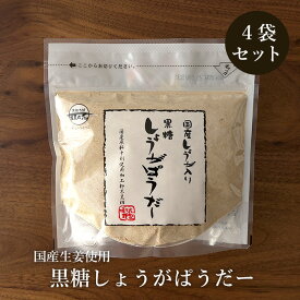 黒糖しょうがぱうだー 160g×4袋 沖縄産黒糖と国産生姜使用 黒糖生姜湯 送料無料