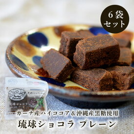 琉球ショコラ 40g×6袋 沖縄県産黒糖とガーナ産ハイカカオのチョコレート 送料無料