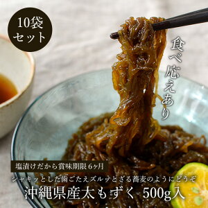ꌧY500g×10 tRC_LxIۑ\ȉ^Cv 