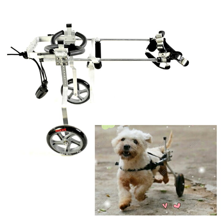 楽天市場】Mサイズドッグウォーカー 犬用車イス ペット用車イス 