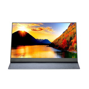 𑜓x tnCrW 17D3C`|[^uj^[ 1920x1080 HDMI USB Type C Cz[q Xs[J[ IPS yʃ}`j^[[1Nԕۏ]