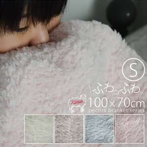 y420`撅SizN[|z Ђ| uPbg  ӂӂ yR PECORA S TCY  {A 킢 y y ѕz 70×100 ObY v[g ItBX 