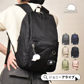 【9日20時～★先着全品半額クーポン】 スカンジナビアンフォレスト リュック レディース 通勤 通学 大容量 おしゃれ 軽量 トラベル 旅行 背面ポケット A4 パソコン ブランド 黒 きれいめ 撥水 ナイロン 北欧 かわいい 多収納 プレゼント ギフト P10 母の日