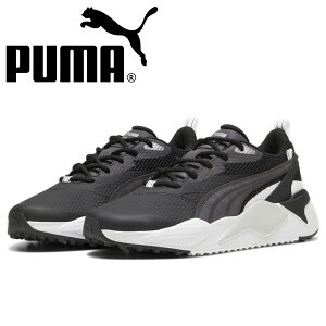 v[} 2024 GS-X GtFNg 379207-02 StV[Y    lC