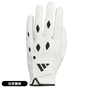 y11/1聚I100%PobNvGg[+ő10%ItCPzzz AfB_X 2024 }`tBbg IKL21 IN6691 St E蒅p    lC