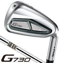 楽天市場】ダイナミックゴールド r300 アイアン（ブランドピン）の通販