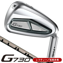 楽天市場】ピン アイアンセット（利き腕左）の通販