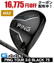 楽天市場】フェアウェイウッド（ブランドピン・番手9W）（メンズクラブ 
