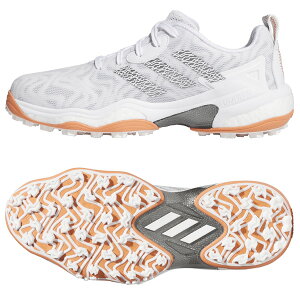 �A�f�B�_�X �S���t�V���[�Y �R�[�h�J�I�X 25 MDV41 �����Y �X�p�C�N���X �R �V���[���[�X �h�� 2026�N���f�� ������ ������� �������� �l�C