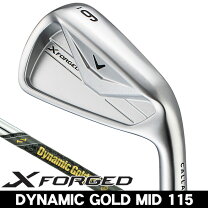楽天市場】x forged ダイナミックゴールドの通販