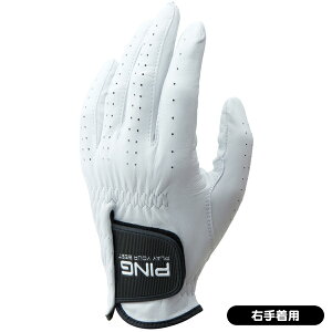 y11/1聚I100%PobNvGg[+ő10%ItCPzzz s 2023 GL|P2301 St iE蒅pj    lC