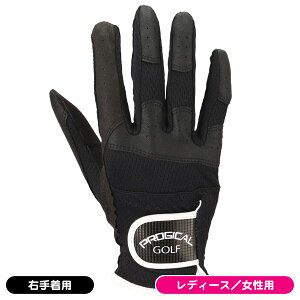 y11/1聚I100%PobNvGg[+ő10%ItCPzzz fB[X vWJ PGLG|2349LiRHj St E蒅p p    lC