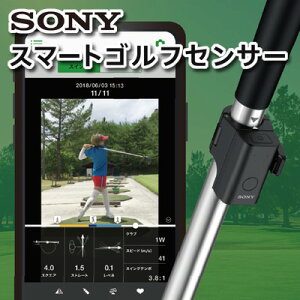 y9/25聚I1/2 ő100%PobNz SONY X}[gStZT[ iSSE|GL1j