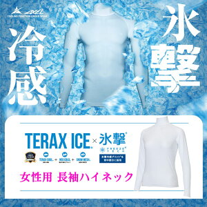 y9/25聚I1/2 ő100%PobNz StEFA ANZ A_[EFA TERAX-ICE×X nClbNA_[EFA AXUW25101L fB[X