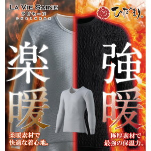 ő10%OFFN[|sy10/21`10/29z StEFA ANZ A_[EFA Ђ܂胉rZ[kN[lbNA_[EFA AXUW252HM Y