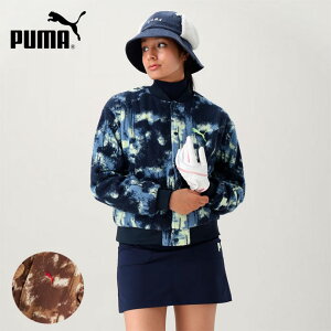 y9/25聚I1/2 ő100%PobNz StEFA v[} AE^[ vgt[X{o[ 630557 fB[X
