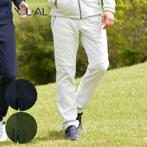 ő10%OFFN[|sy11/19`11/28z StEFA ANZ pc EVOFLEX ȃpc AXP2522EVO Y