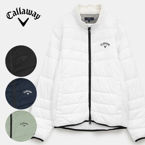 StEFA LEFC AE^[ tWbvȃu] C25215106 Y