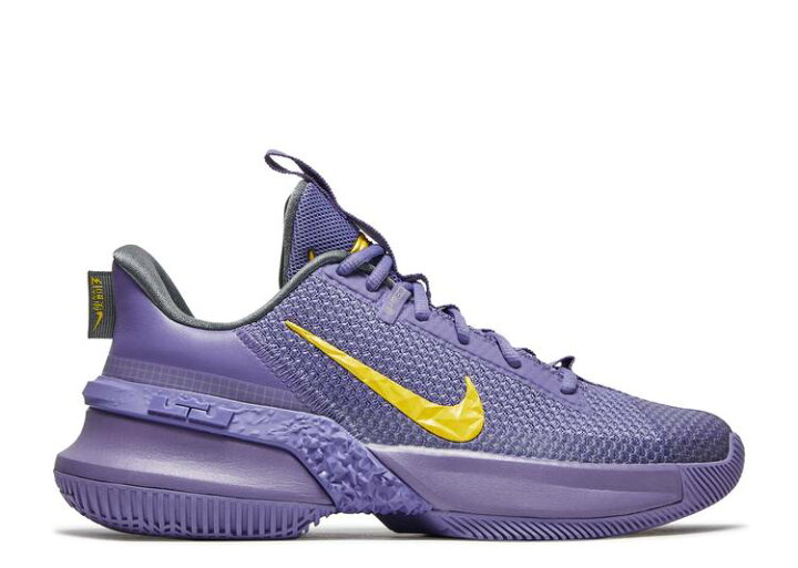 楽天市場】【 NIKE LEBRON AMBASSADOR 13  