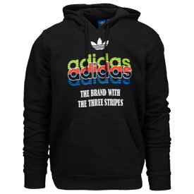 【海外限定】アディダス アディダスオリジナルス adidas originals オリジナルス グラフィック フーディー パーカー men's メンズ graphic hoodie mens