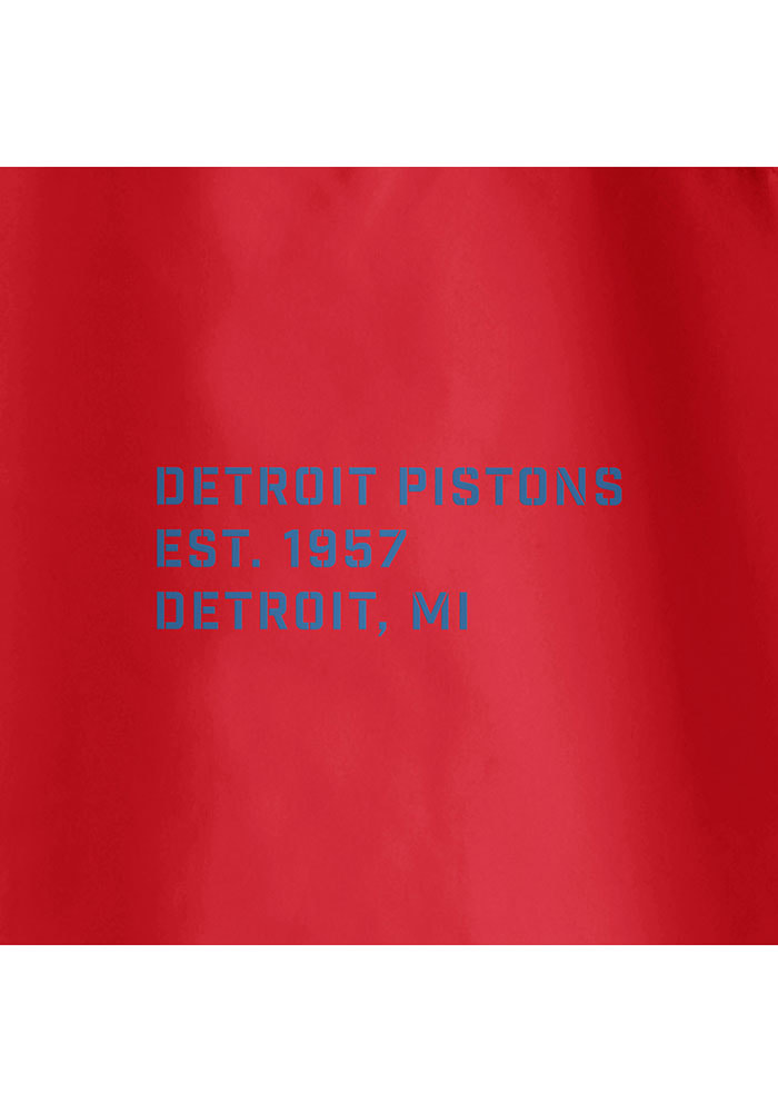 商品情報  pistons Detroit ピストンズ デトロイト 刺繍ロゴ 90s 激レア パーカー