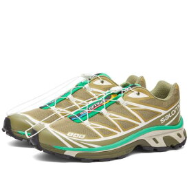 サロモン ディープ 緑 グリーン & スニーカー メンズ 【 SALOMON XT-6 / DRIED HERB DEEP LICHEN GREEN & 】