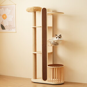 Lbg^[ ؐ L^[ Lbgc[ X 173.5cm u lR^[ 艺肵₷ ܂Ƃ|[  qL ^L ybgpi 