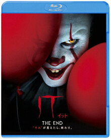 IT/イット THE END“それ"が見えたら、終わり。/ジェームズ・マカヴォイ[Blu-ray]【返品種別A】