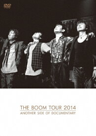 THE BOOM TOUR 2014 ANOTHER SIDE OF DOCUMENTARY/THE BOOM[DVD]【返品種別A】