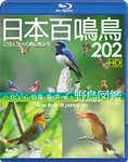 送料無料 シンフォレストBlu-ray 日本百鳴鳥 202 HD ハイビジョン映像と鳴き声で愉しむ野鳥図鑑 70％OFFアウトレット 返品種別A 新作 人気 教養 Blu-ray