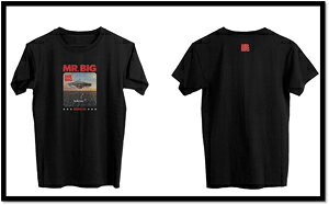 yzObYCOItBVEbNohTVcuMR.BIG THE BIG FINISH LIVE T-SHIRT (ALBUM)vy3XLTCYz/MR.BIG[ETC]yԕiBz
