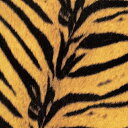 【送料無料】[枚数限定][限定盤][先着特典付]Tigermobile(限定盤)【アナログ盤】/THE HIGH-LOWS[CD]【返品種別A】