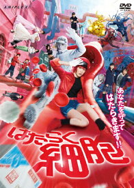 【送料無料】はたらく細胞【通常版】/永野芽郁,佐藤健[DVD]【返品種別A】